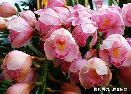 萬丈光芒，良緣入懷 未來一個月感情與工作的新啟程
